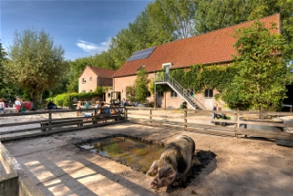 verjaardagsfeestje kinderboerderij