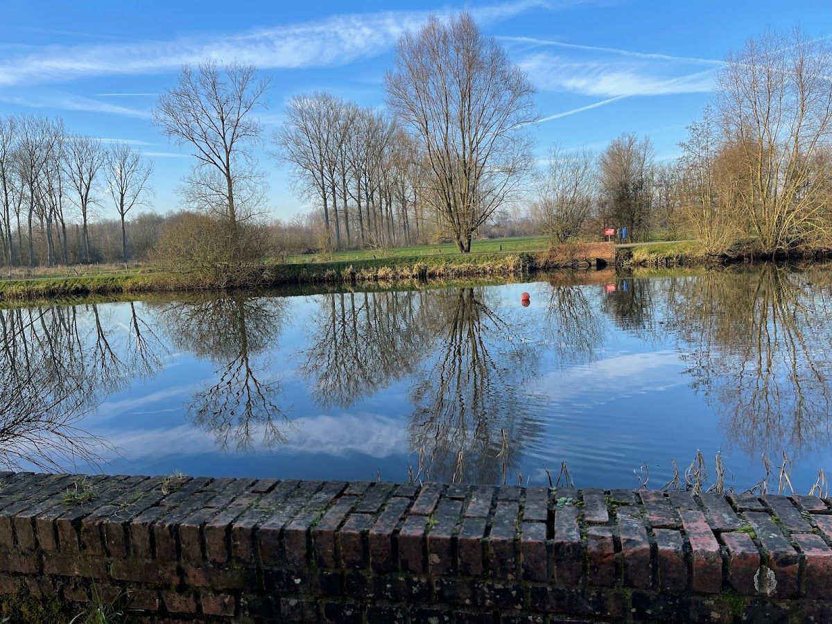 verjaardagsfeestje ninove